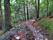 74 Sul sent. 526B scendendo dal Passo della crocetta alla Madonna del frassino